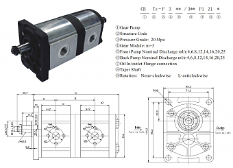 Сдвоенный шестеренный насос CBT-F312/306F1Z1