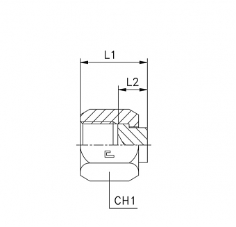 Заглушка с гайкой ORFS 2"