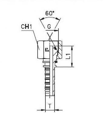BSP 1/2"-14/0-08 DN12 (C) (O-Ring)