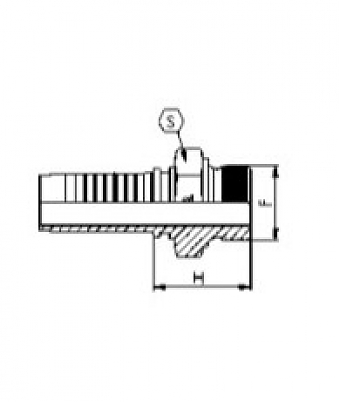 MALE BSP 3/8"-19/0-06 DN10 (FLAT) (T)
