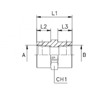 Адаптер с внутренней резьбой NPT1/4"-3/4"